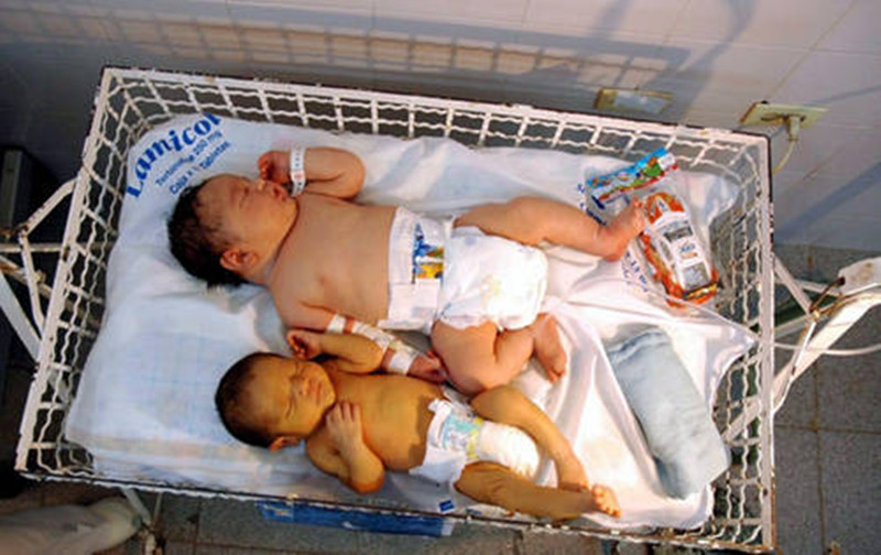 1513677113910897.jpg d88dcd79027071b01d8cf387870f6651_20070101131713d9396_副本.jpg