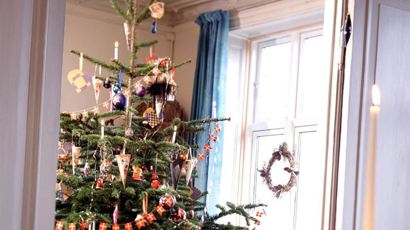 1514169877945571.jpg c2e8ae57b00ccd84afb1a2763329b207_danish_christmas_tree_itok=lUHeCoeG_副本.jpg