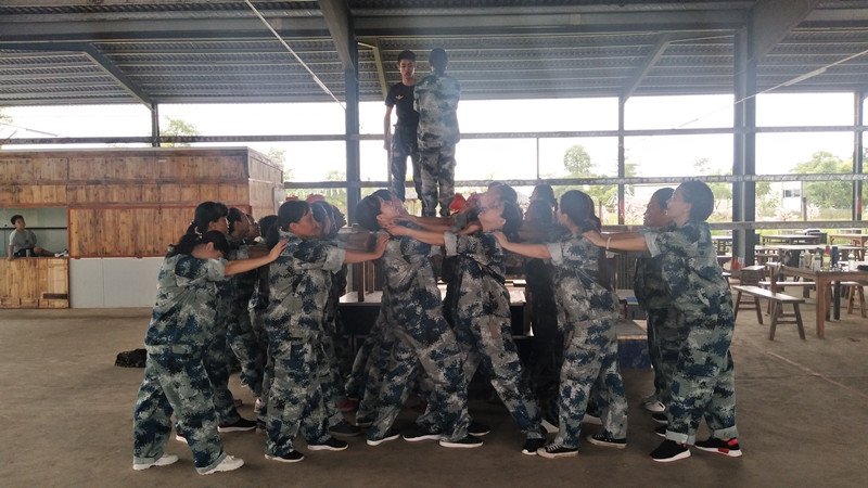 1575352513272549.jpg 05.jpg